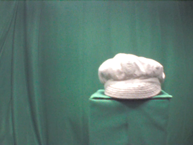 Beige Newsboy Cap